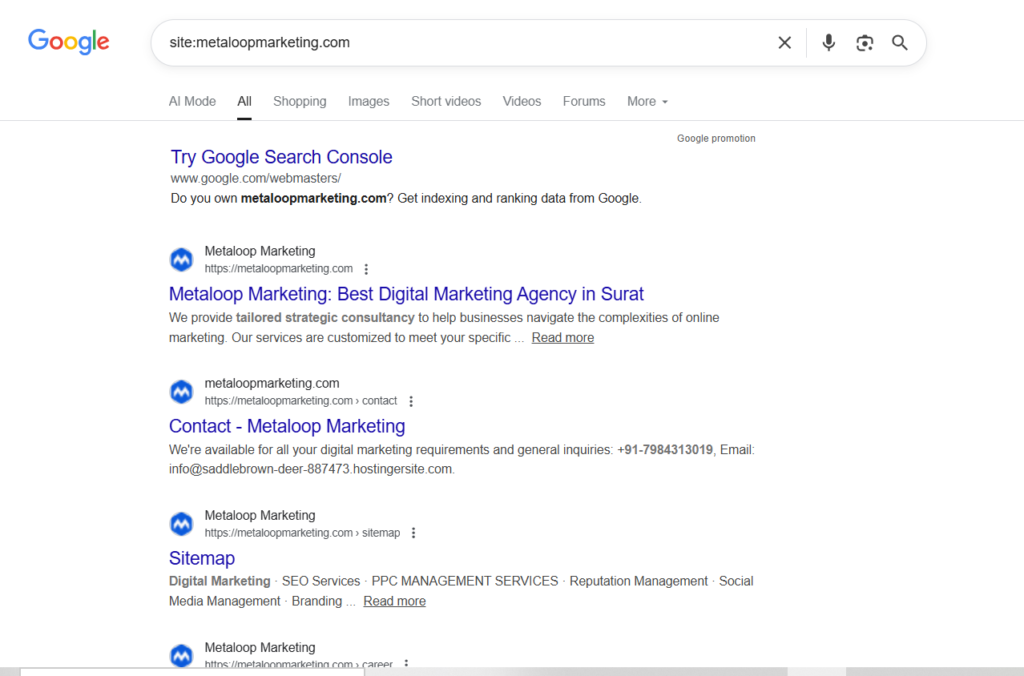 metaloopmarketing site search